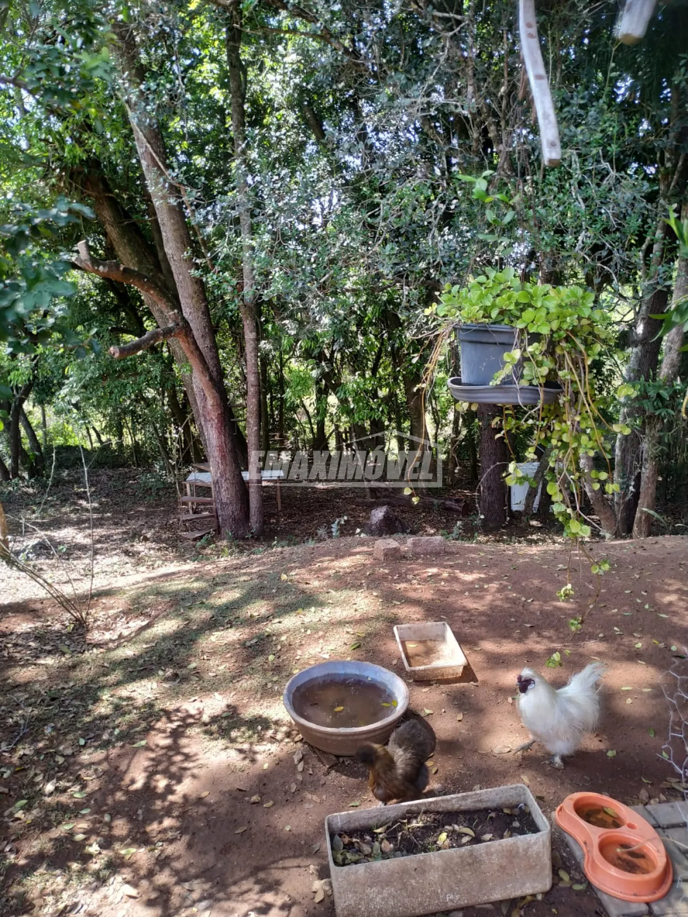 Comprar Chácara / em Condomínio em Araçoiaba da Serra R$ 460.000,00 - Foto 23
