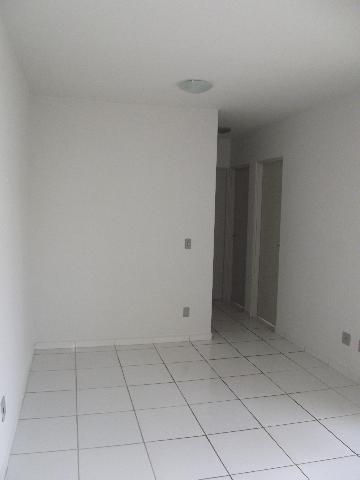 imagem 2 - Apartamento - Padrão imagem 2 - Apartamento - Padrão