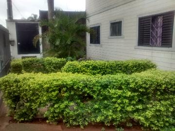 imagem 2 - Apartamento - Padrão imagem 2 - Apartamento - Padrão