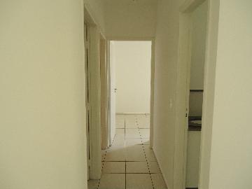 imagem 4 - Apartamento para Aluguel - Vila Augusta - Sorocaba/SP imagem 4 - Apartamento para Aluguel - Vila Augusta - Sorocaba/SP