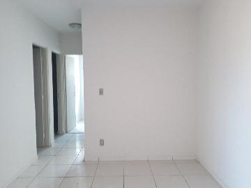 imagem 3 - Apartamento - Padrão imagem 3 - Apartamento - Padrão