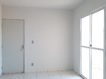 imagem 4 - Apartamento - Padrão imagem 4 - Apartamento - Padrão