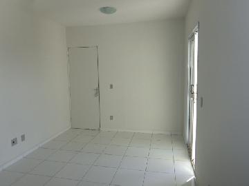 imagem 3 - Apartamento - Padrão imagem 3 - Apartamento - Padrão