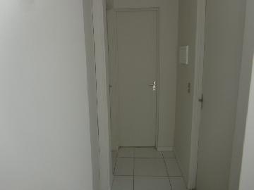 imagem 5 - Apartamento - Padrão imagem 5 - Apartamento - Padrão
