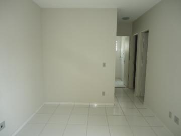 imagem 2 - Apartamento com 2 Quartos e 1 vaga - Jardim São Conrado imagem 2 - Apartamento com 2 Quartos e 1 vaga - Jardim São Conrado