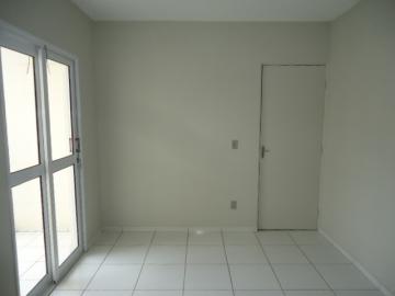 imagem 3 - Apartamento com 2 Quartos e 1 vaga - Jardim São Conrado imagem 3 - Apartamento com 2 Quartos e 1 vaga - Jardim São Conrado
