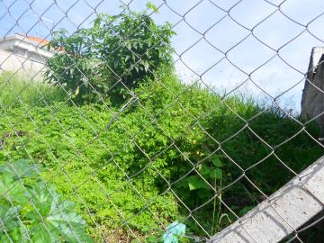 imagem 2 - Terreno - em Bairros imagem 2 - Terreno - em Bairros