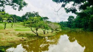 imagem 5 - Propriedade Rural - Sítio imagem 5 - Propriedade Rural - Sítio