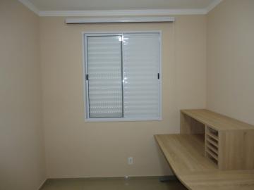 imagem 4 - Apartamento - Padrão imagem 4 - Apartamento - Padrão