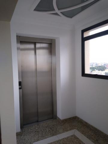 imagem 2 - Apartamento - Padrão imagem 2 - Apartamento - Padrão