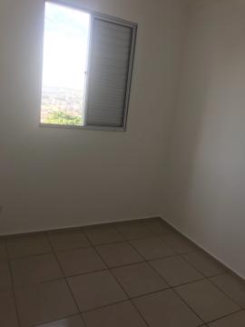 imagem 4 - Apartamento - Padrão imagem 4 - Apartamento - Padrão