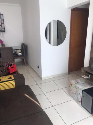 imagem 3 - Apartamento - Padrão imagem 3 - Apartamento - Padrão