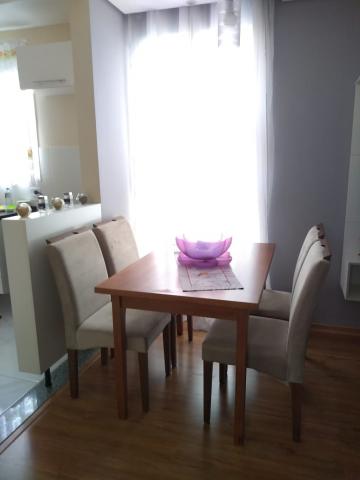 imagem 2 - Apartamento - Padrão imagem 2 - Apartamento - Padrão