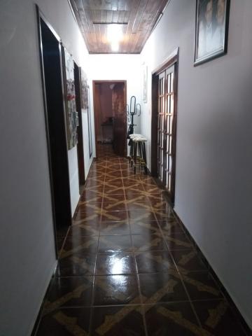 imagem 5 - Chácara - em Bairro imagem 5 - Chácara - em Bairro