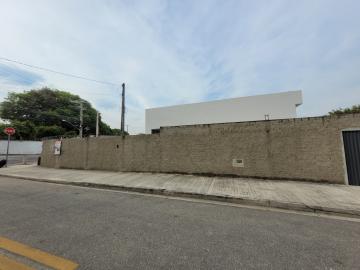 imagem 2 - Galpão - em Bairro imagem 2 - Galpão - em Bairro