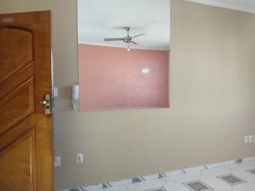 imagem 2 - Apartamento - Padrão imagem 2 - Apartamento - Padrão