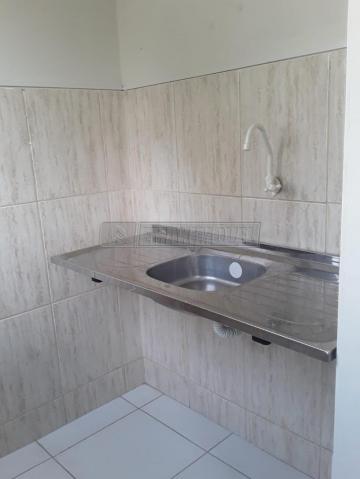 imagem 5 - Apartamento para locação no Parque dos Eucaliptos imagem 5 - Apartamento para locação no Parque dos Eucaliptos