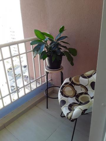 imagem 5 - Apartamento - Padrão imagem 5 - Apartamento - Padrão