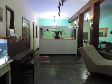 imagem 3 - Chácara - em Bairro imagem 3 - Chácara - em Bairro