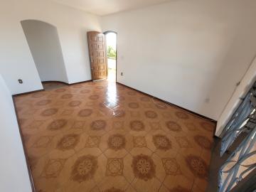 imagem 3 - 3 Dormitórios | Suíte | Garagem Coberta | Próx. Av. Ipanema imagem 3 - 3 Dormitórios | Suíte | Garagem Coberta | Próx. Av. Ipanema