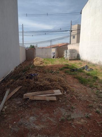 imagem 3 - Terreno - em Bairros imagem 3 - Terreno - em Bairros