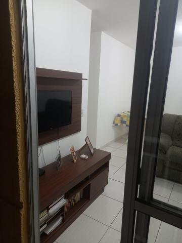 imagem 2 - Apartamento - Padrão imagem 2 - Apartamento - Padrão