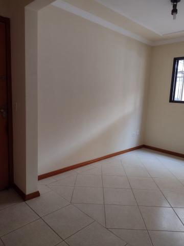 imagem 3 - Apartamento - Padrão imagem 3 - Apartamento - Padrão