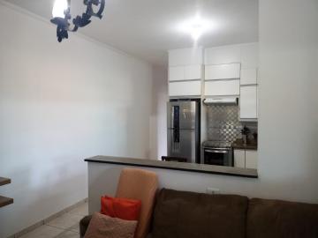 imagem 5 - Casa - em Bairros imagem 5 - Casa - em Bairros