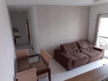 imagem 3 - Apartamento - Padrão imagem 3 - Apartamento - Padrão