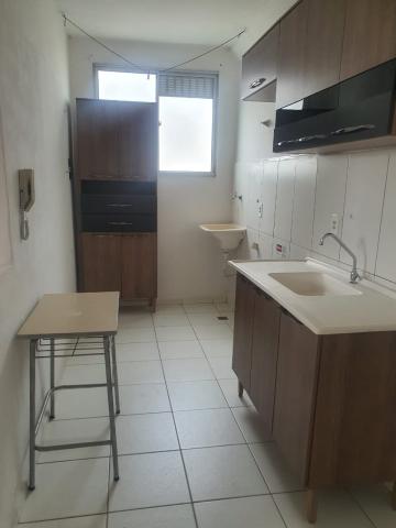 imagem 3 - Apartamento no Parque Sinfonia a venda imagem 3 - Apartamento no Parque Sinfonia a venda