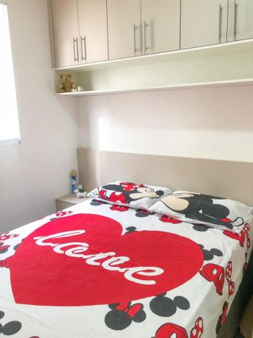 imagem 5 - Apartamento - Padrão imagem 5 - Apartamento - Padrão
