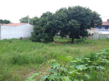 imagem 4 - Terreno - em Bairros imagem 4 - Terreno - em Bairros
