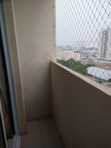 imagem 2 - Apartamento - Padrão imagem 2 - Apartamento - Padrão