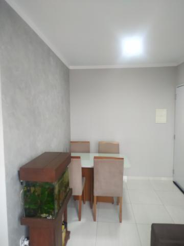 imagem 5 - Apartamento - Padrão imagem 5 - Apartamento - Padrão