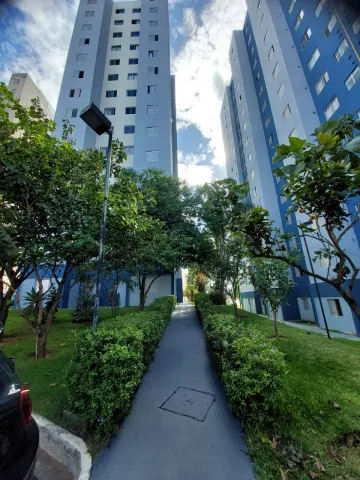 imagem 4 - Apartamento - Padrão imagem 4 - Apartamento - Padrão