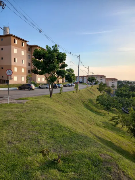 2209 imóveis em São Carlos, SP para locaçao