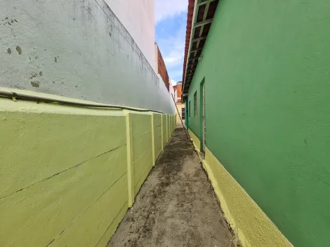 alt=