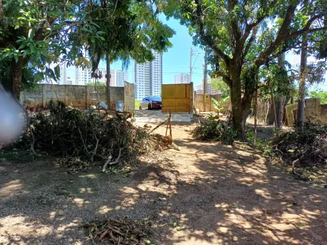 imagem 3 - Chácara - em Bairro imagem 3 - Chácara - em Bairro
