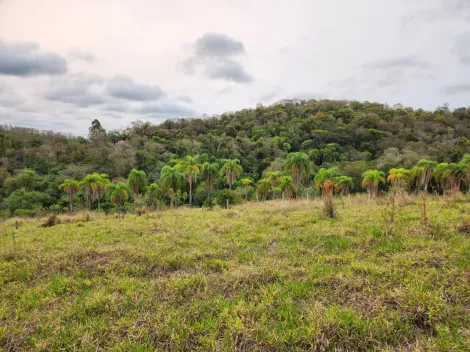 imagem 4 - Propriedade Rural - Sítio imagem 4 - Propriedade Rural - Sítio