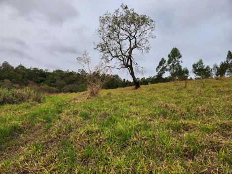 imagem 5 - Propriedade Rural - Sítio imagem 5 - Propriedade Rural - Sítio