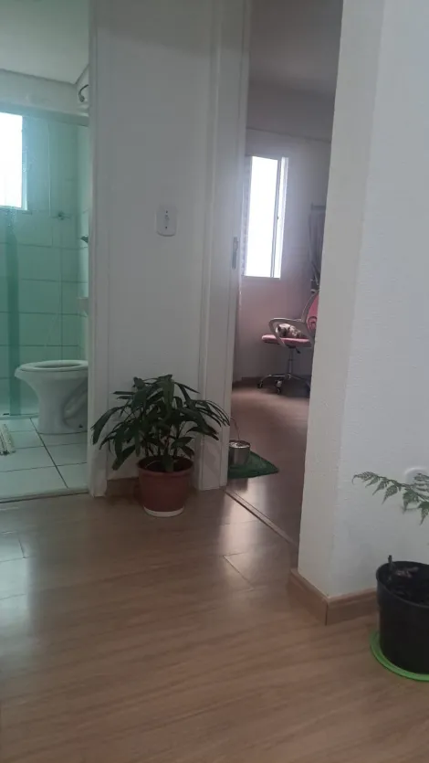 imagem 3 - Apartamento - Padrão imagem 3 - Apartamento - Padrão
