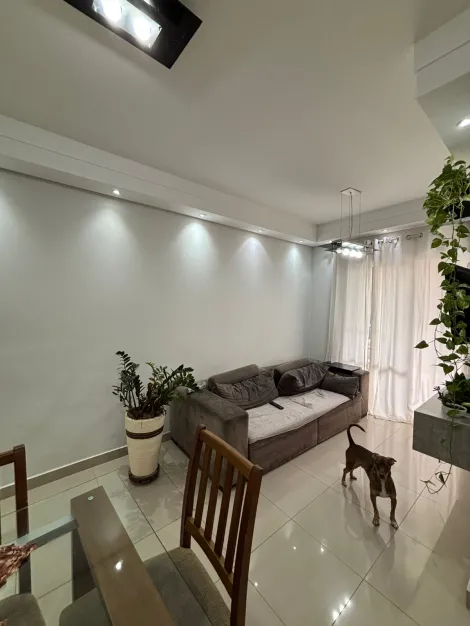 imagem 3 - Apartamento - Padrão imagem 3 - Apartamento - Padrão