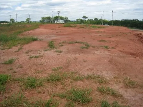 imagem 1 - Terreno para locação - Loteamento Jardim das Azaléias imagem 1 - Terreno para locação - Loteamento Jardim das Azaléias