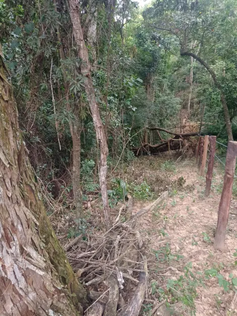 imagem 5 - Terreno - em Bairros imagem 5 - Terreno - em Bairros