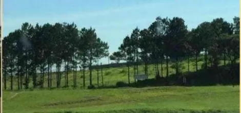 imagem 3 - Terreno com 10.900m² - Zona Industrial imagem 3 - Terreno com 10.900m² - Zona Industrial