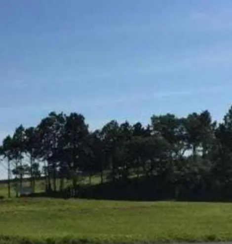 imagem 4 - Terreno com 10.900m² - Zona Industrial imagem 4 - Terreno com 10.900m² - Zona Industrial