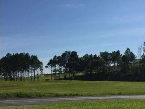 imagem 2 - Terreno com 10.900m² - Zona Industrial imagem 2 - Terreno com 10.900m² - Zona Industrial