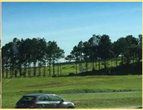 imagem 1 - Terreno com 10.900m² - Zona Industrial imagem 1 - Terreno com 10.900m² - Zona Industrial