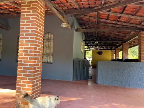 imagem 4 - Propriedade Rural - Sítio imagem 4 - Propriedade Rural - Sítio