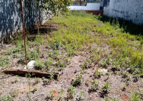 imagem 5 - Terreno à venda de 360 m² no Jd. Simus! imagem 5 - Terreno à venda de 360 m² no Jd. Simus!